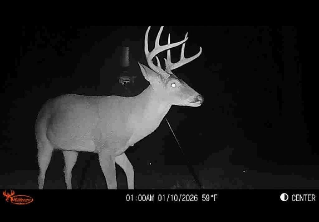66.44 acres in Texas County - photo 23