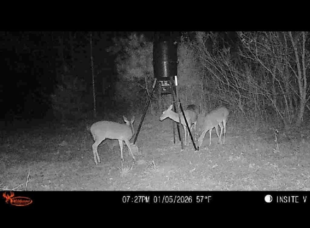 66.44 acres in Texas County - photo 21