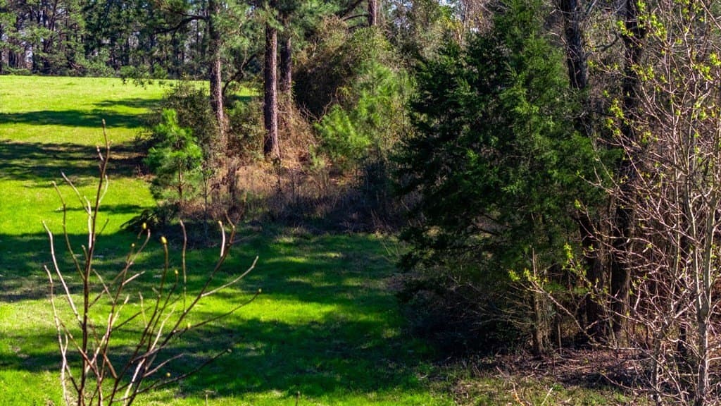 66.44 acres in Texas County gallery image 4