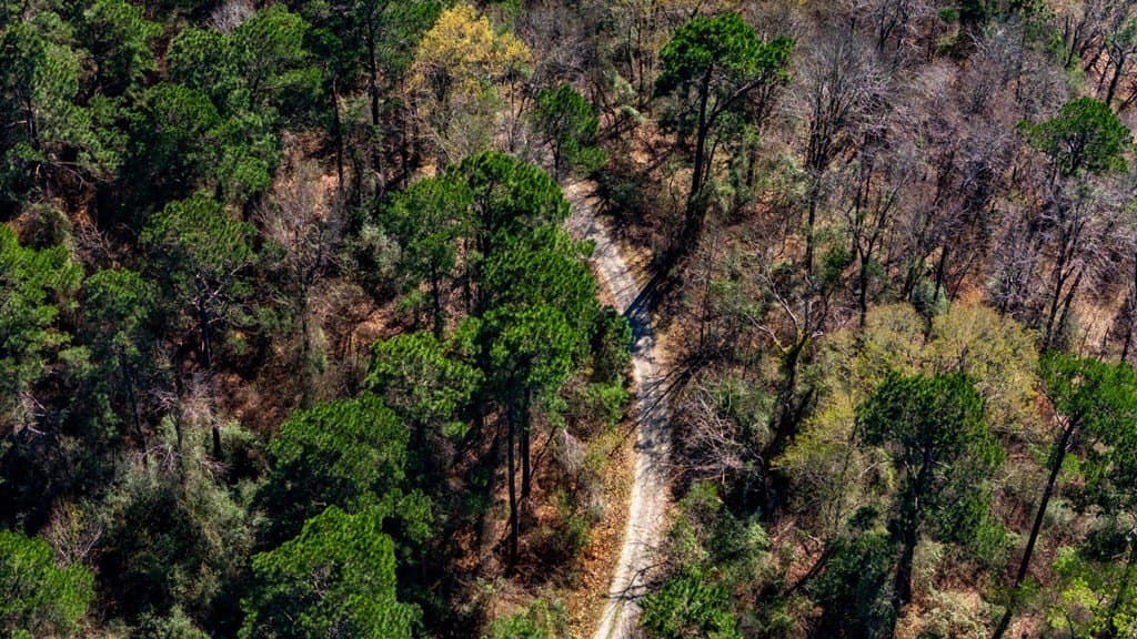 66.44 acres in Texas County - photo 20