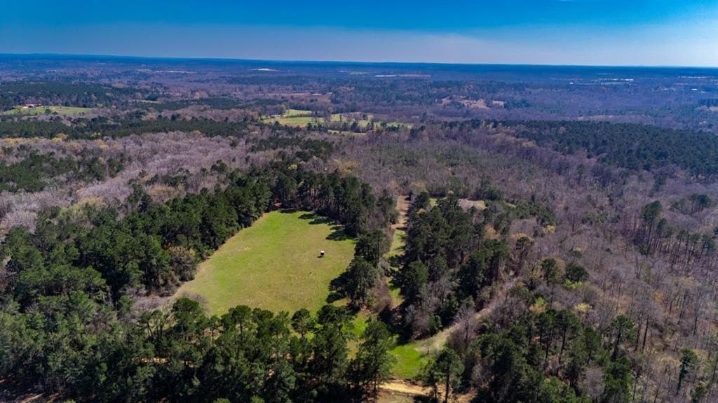 66.44 acres in Texas County gallery image 2