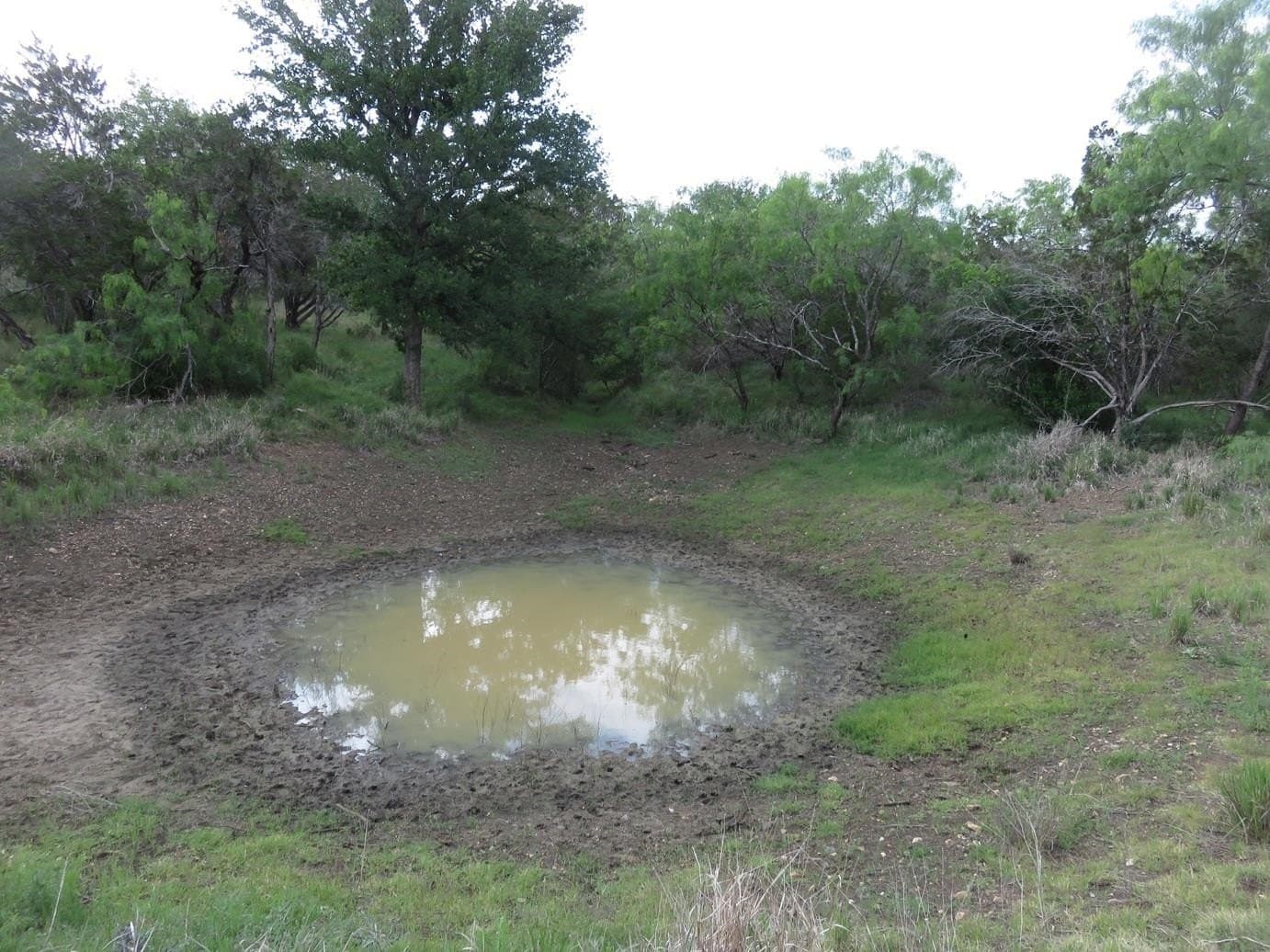 7.39 acres in Llano County gallery image 4