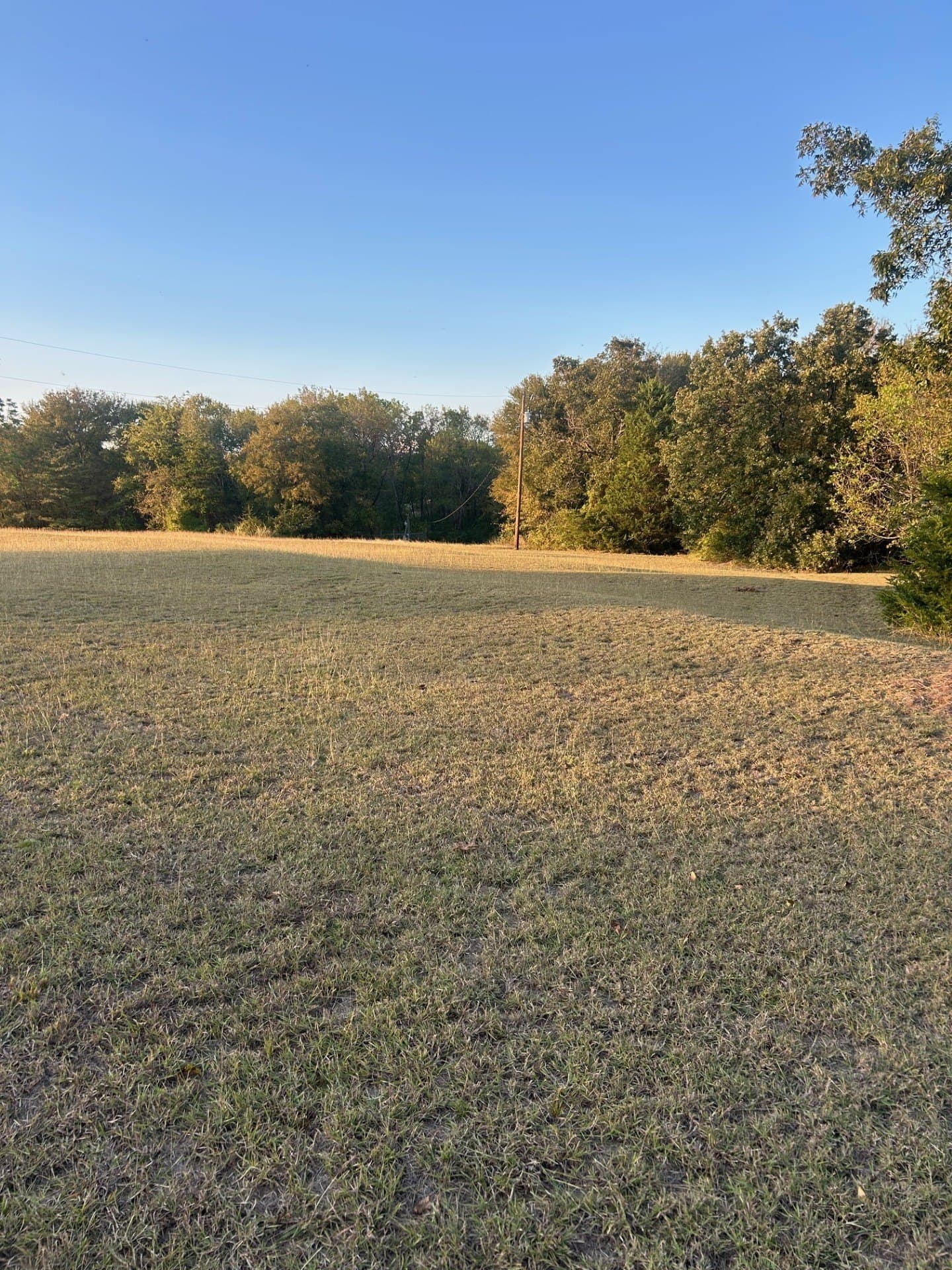 1.83 acres in Rains County - photo 16