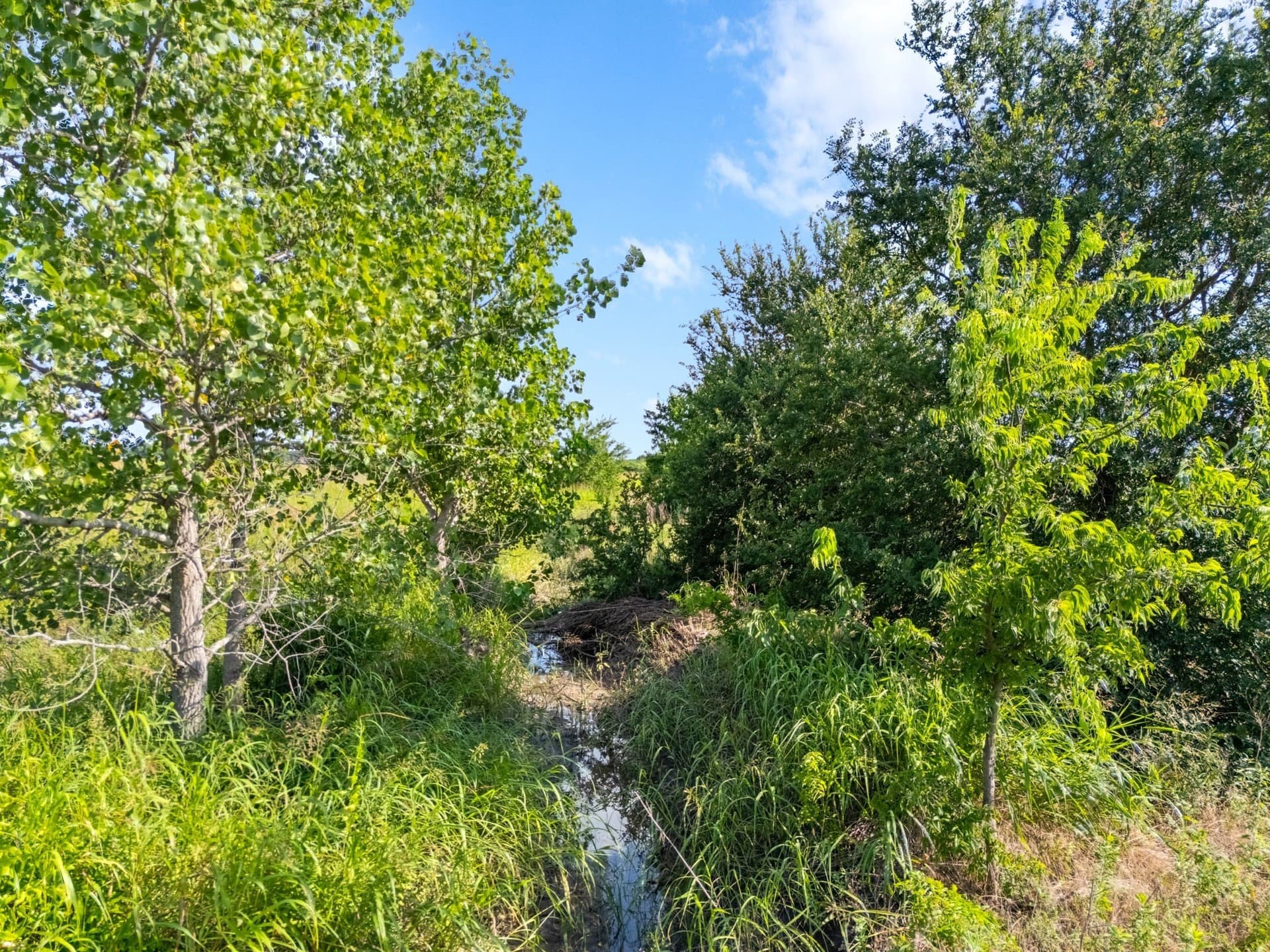 108 acres in McLennan County - photo 21