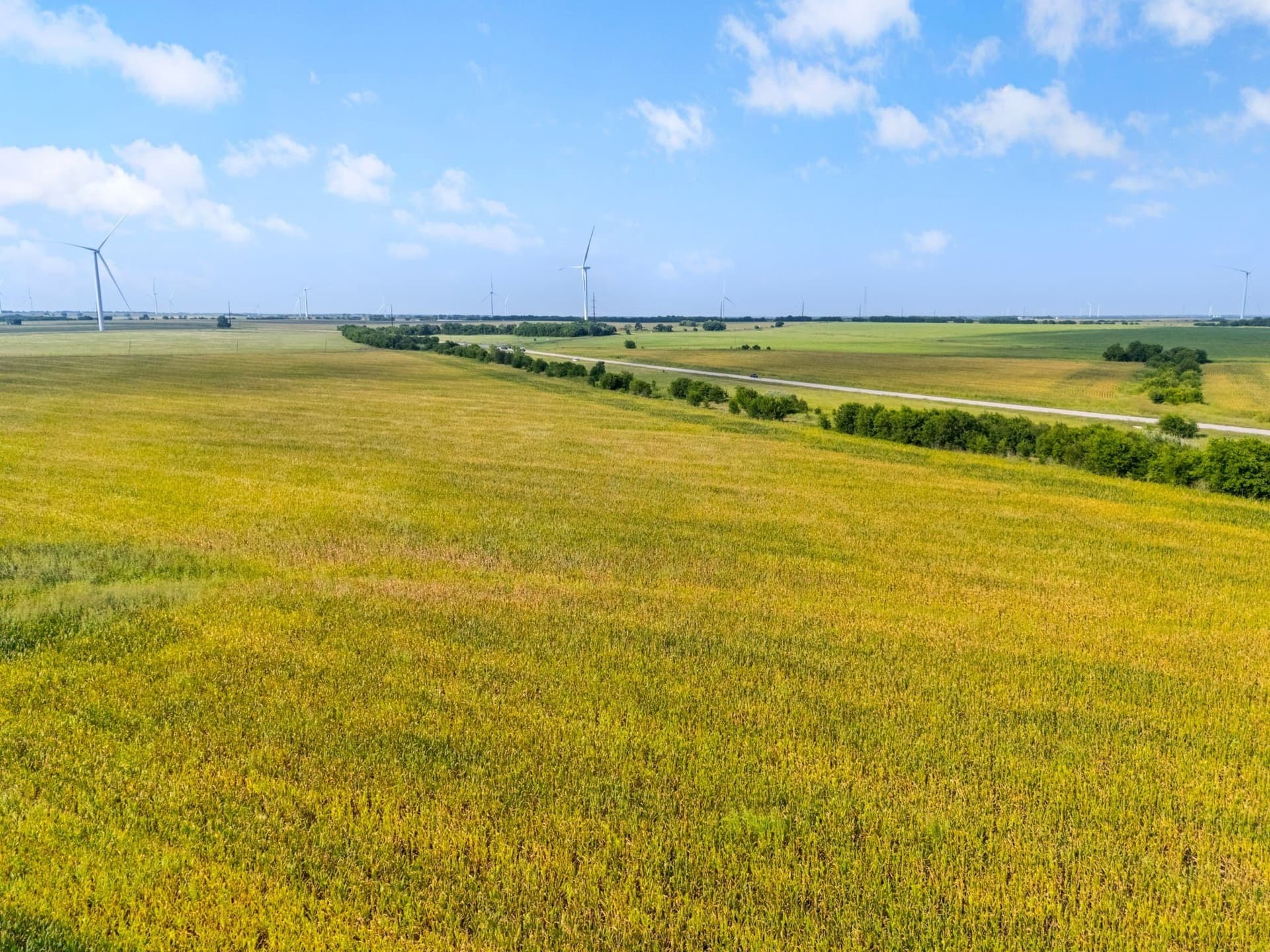 108 acres in McLennan County - photo 14