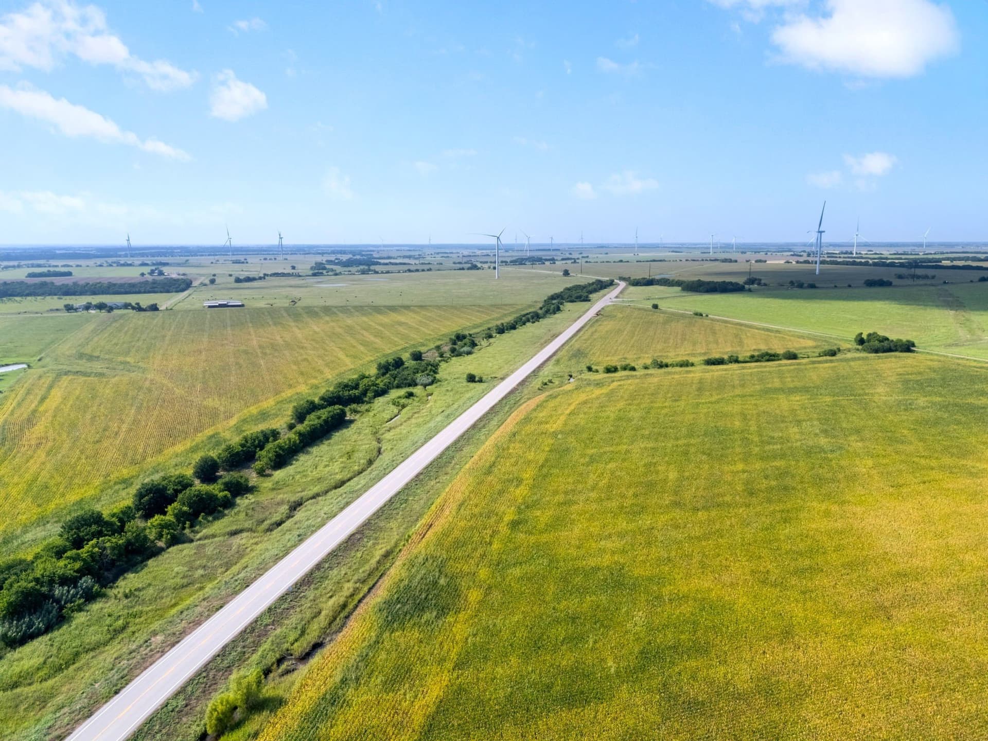 108 acres in McLennan County - photo 5