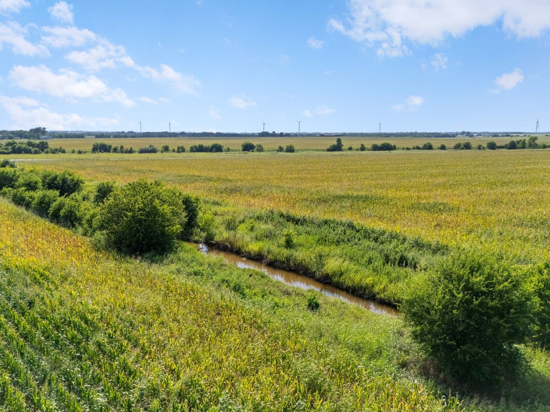 108 acres in McLennan County - photo 7