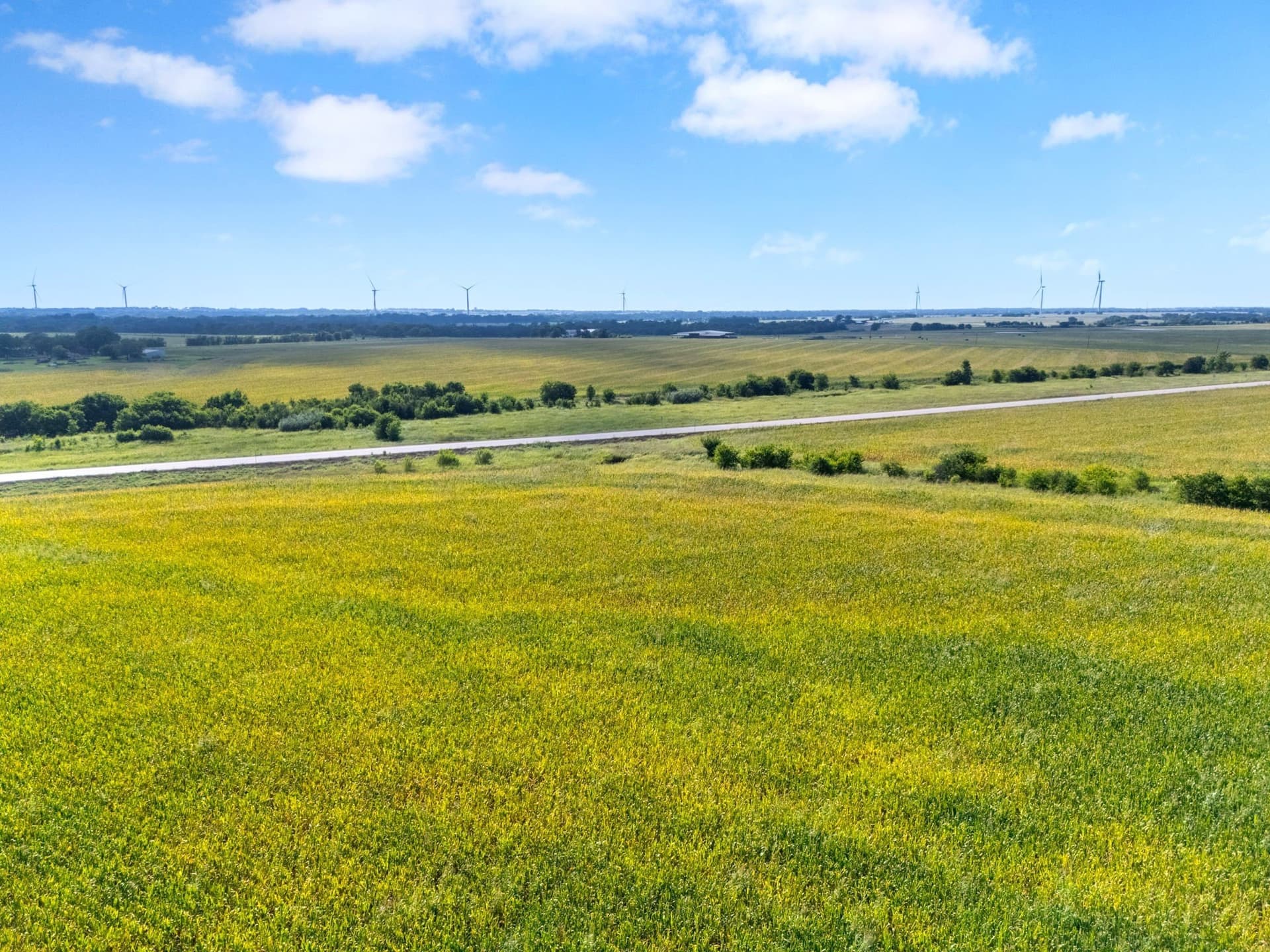 108 acres in McLennan County - photo 11