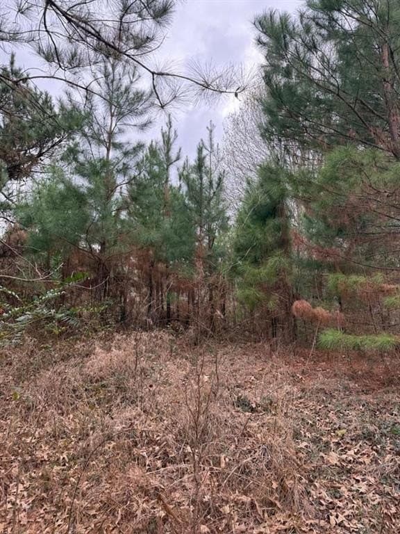 6.4 acres in Smith County featured view