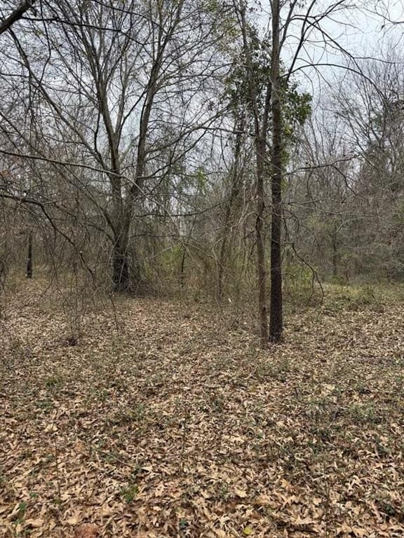 6.4 acres in Smith County gallery image 4