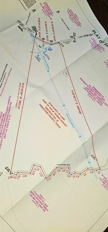 50 acres in Freestone County gallery image 2