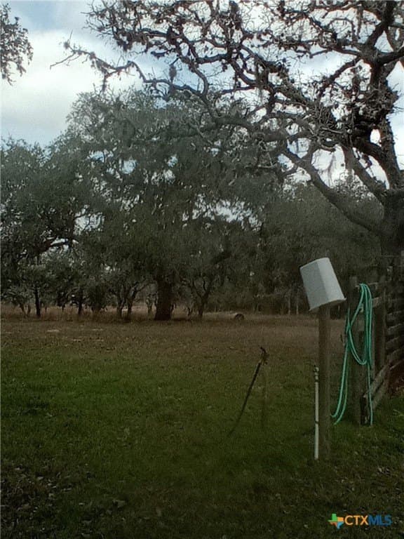 20.59 acres in DeWitt County featured view