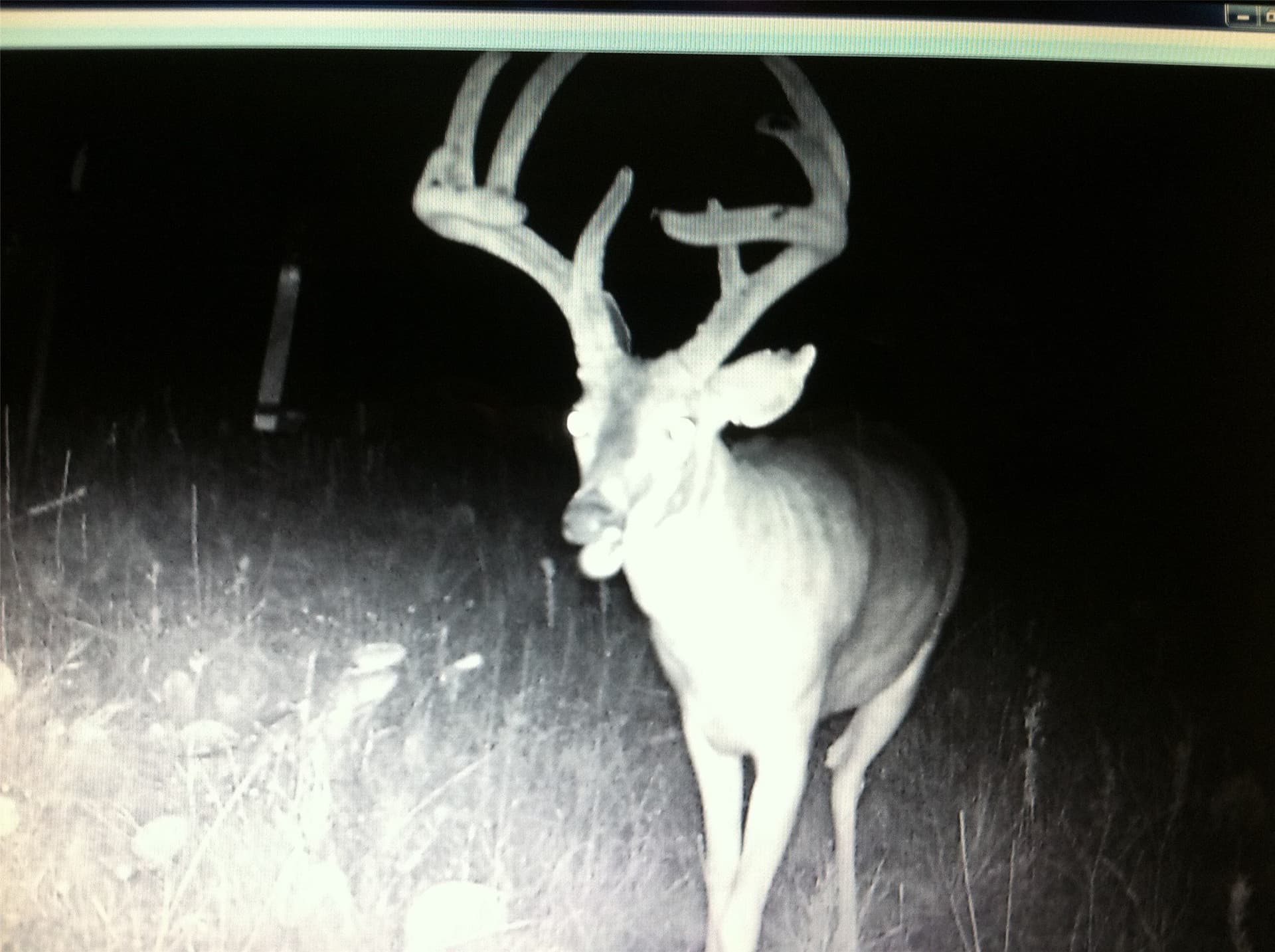120.38 acres in Bosque County - photo 16