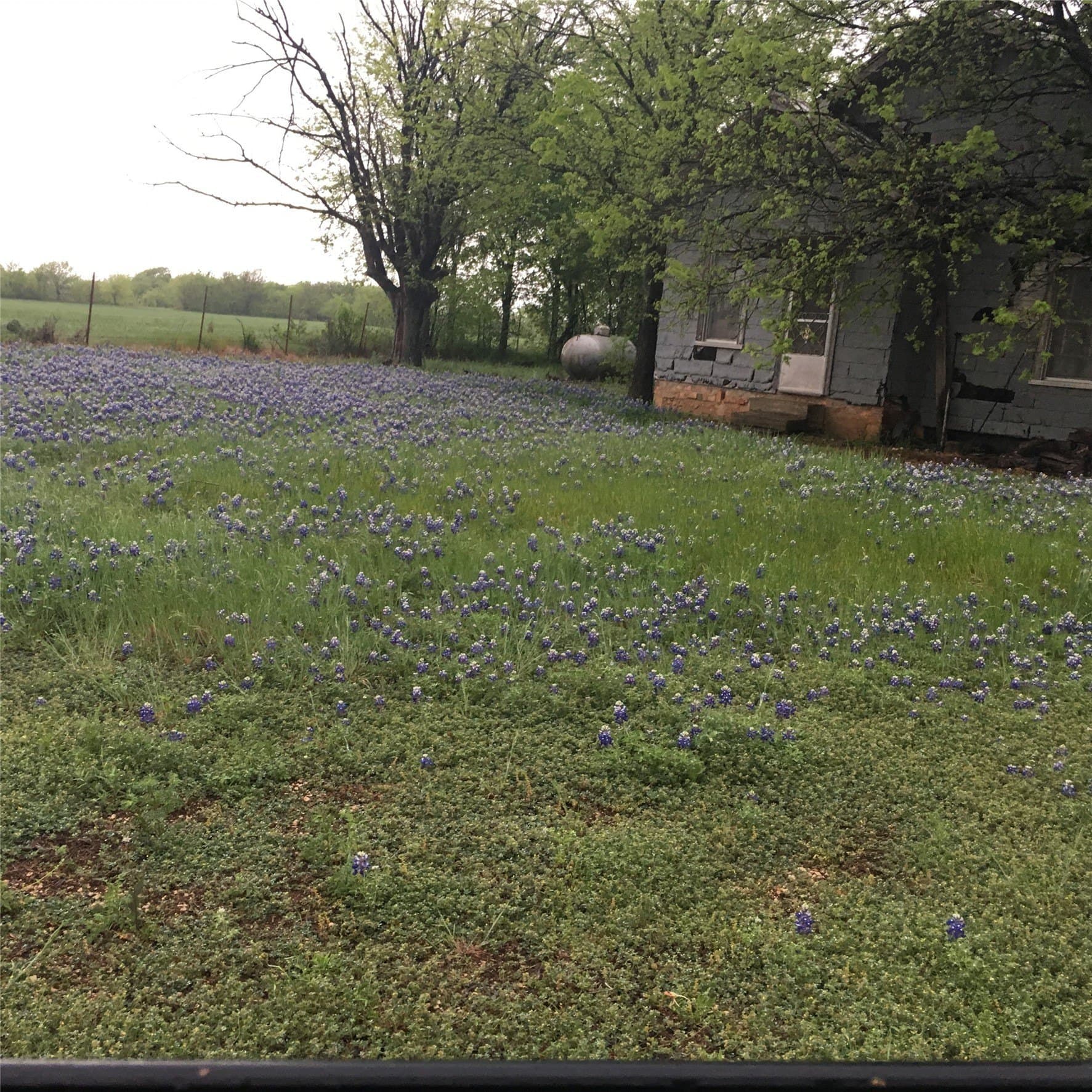 120.38 acres in Bosque County - photo 3