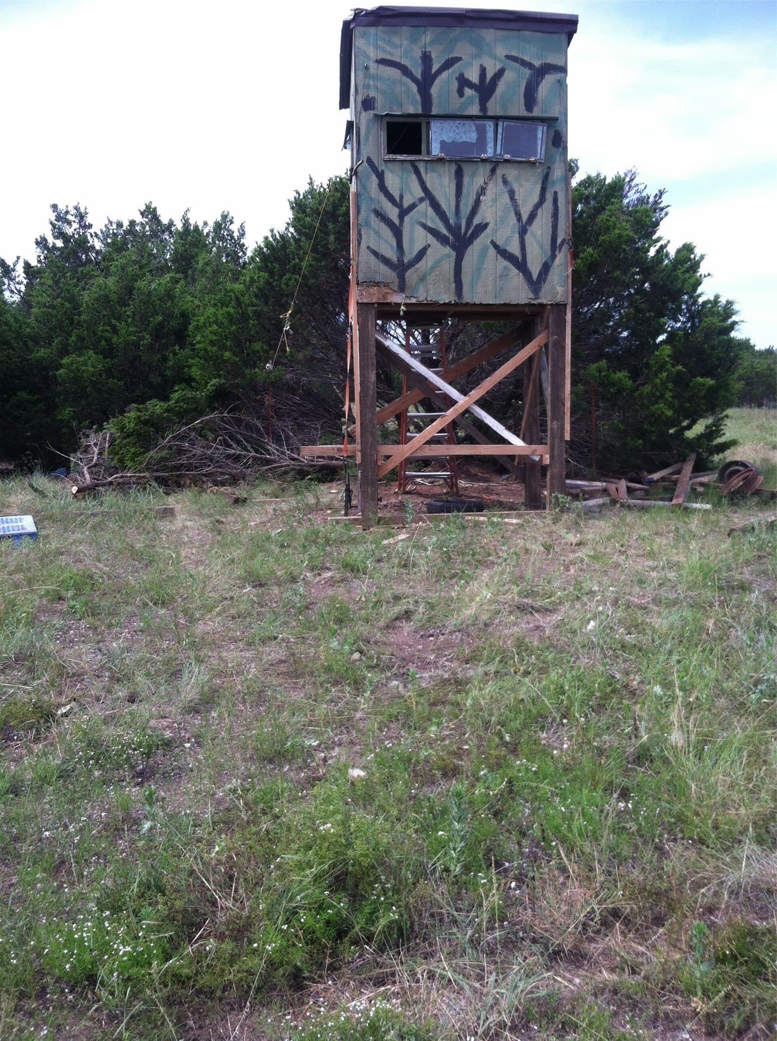 120.38 acres in Bosque County - photo 14