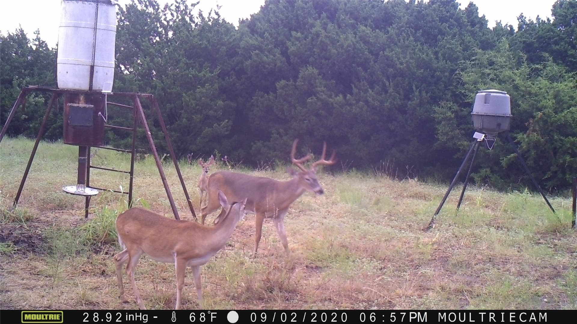 120.38 acres in Bosque County - photo 26