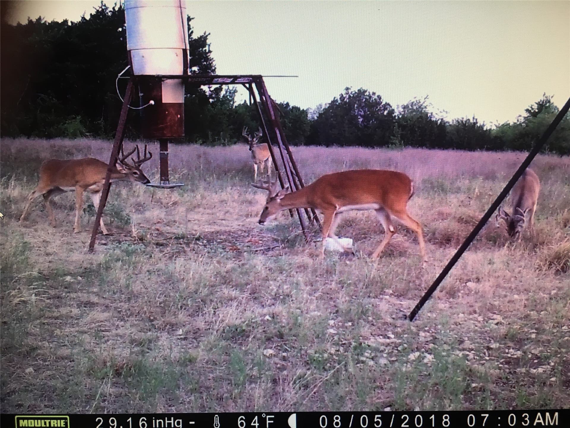 120.38 acres in Bosque County - photo 9