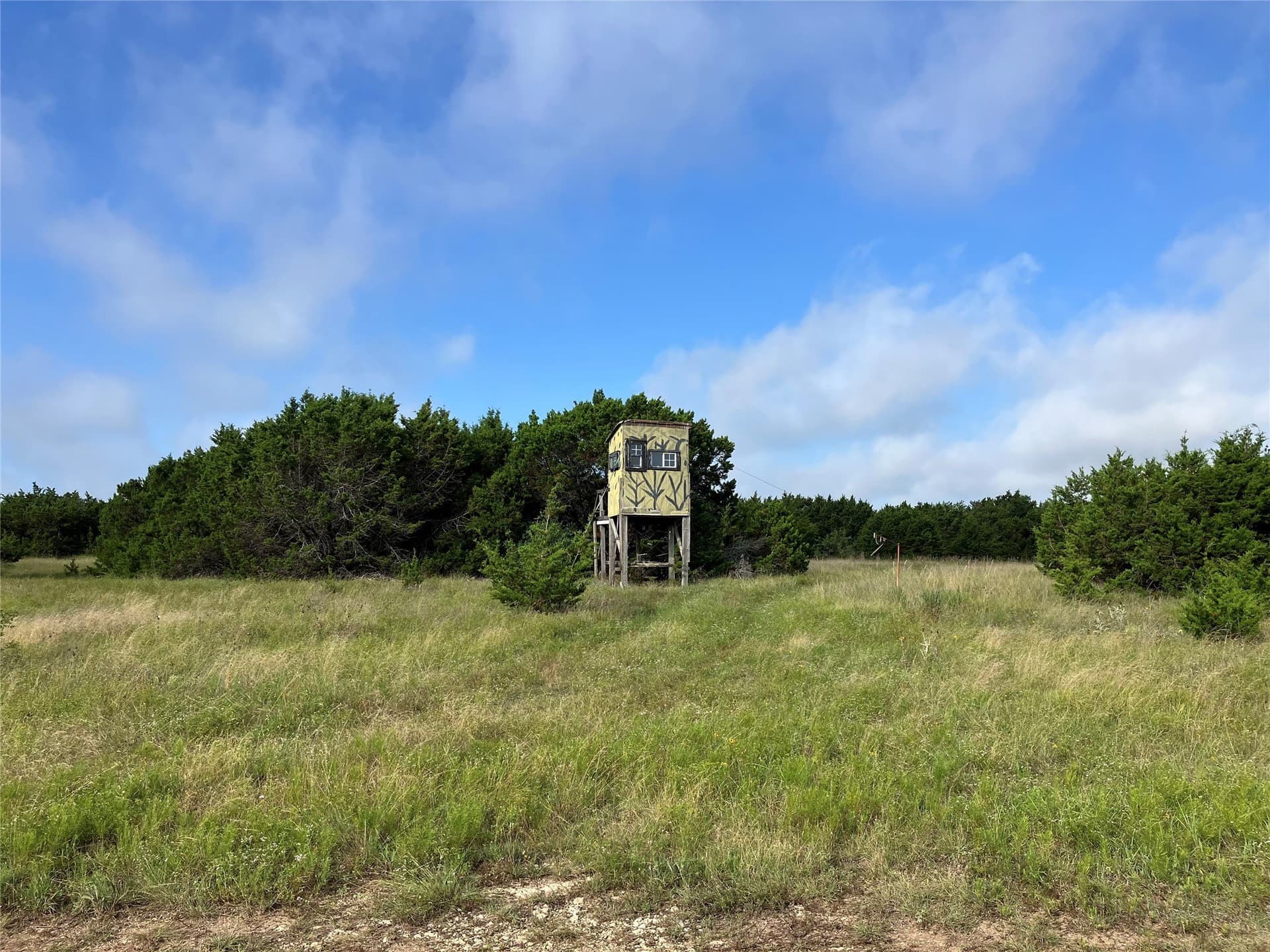 120.38 acres in Bosque County - photo 5