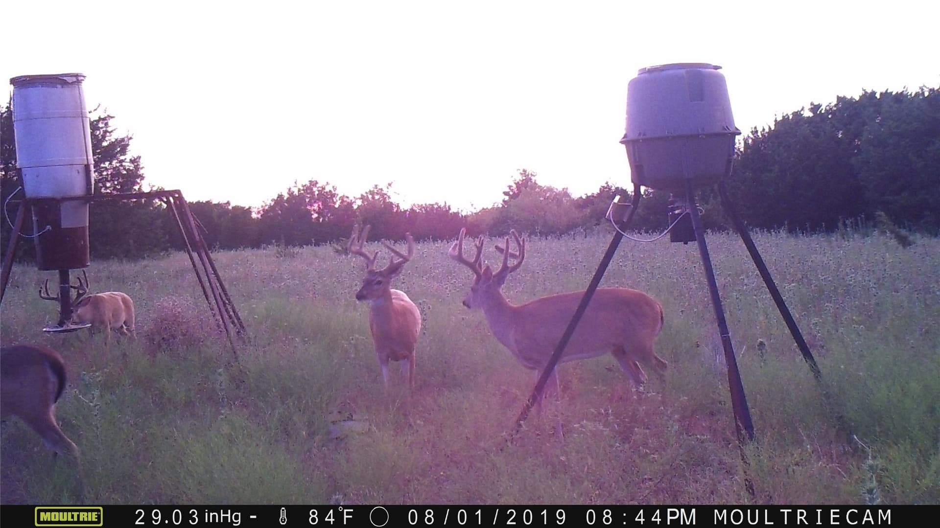 120.38 acres in Bosque County - photo 22