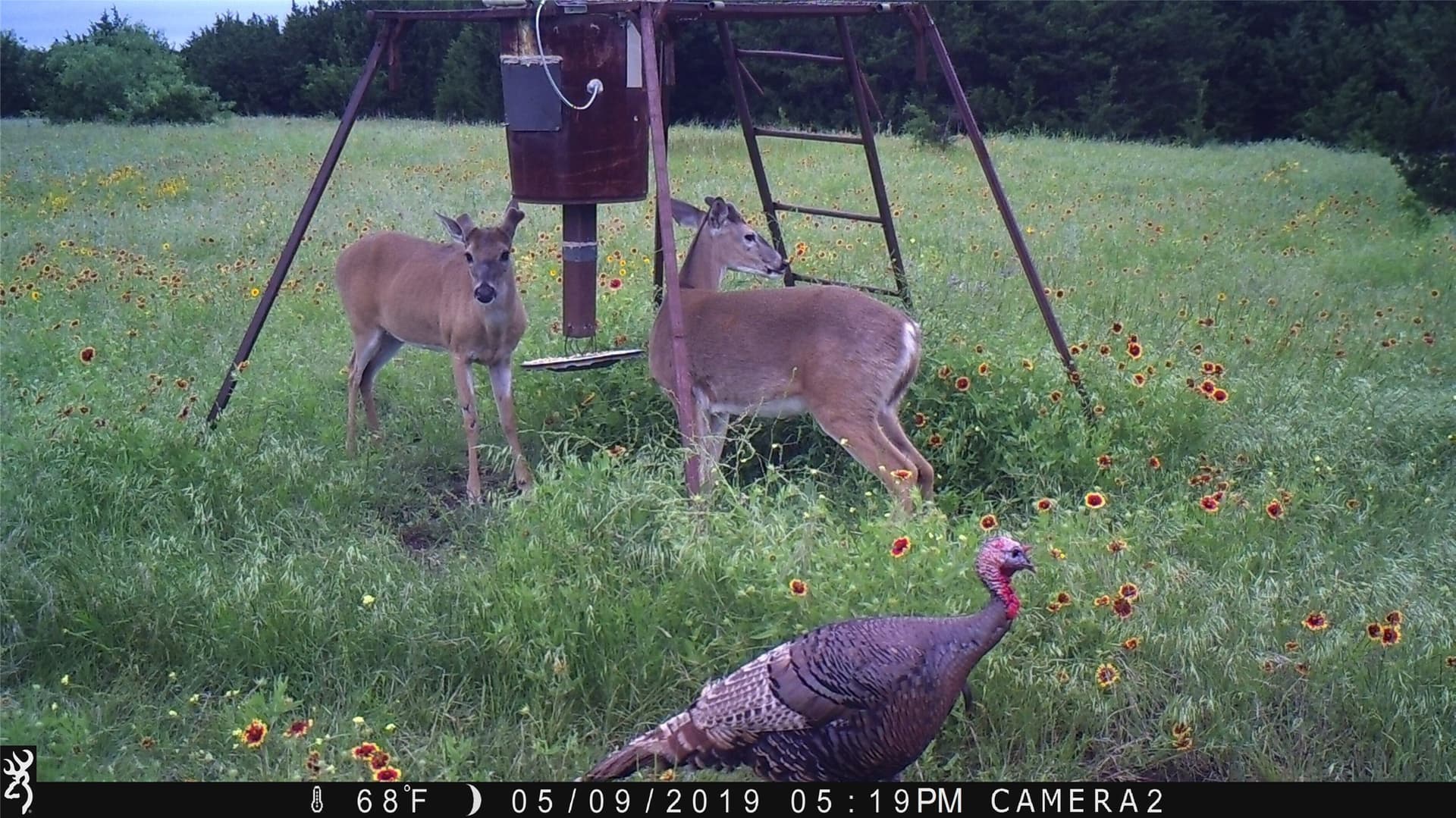 120.38 acres in Bosque County - photo 21