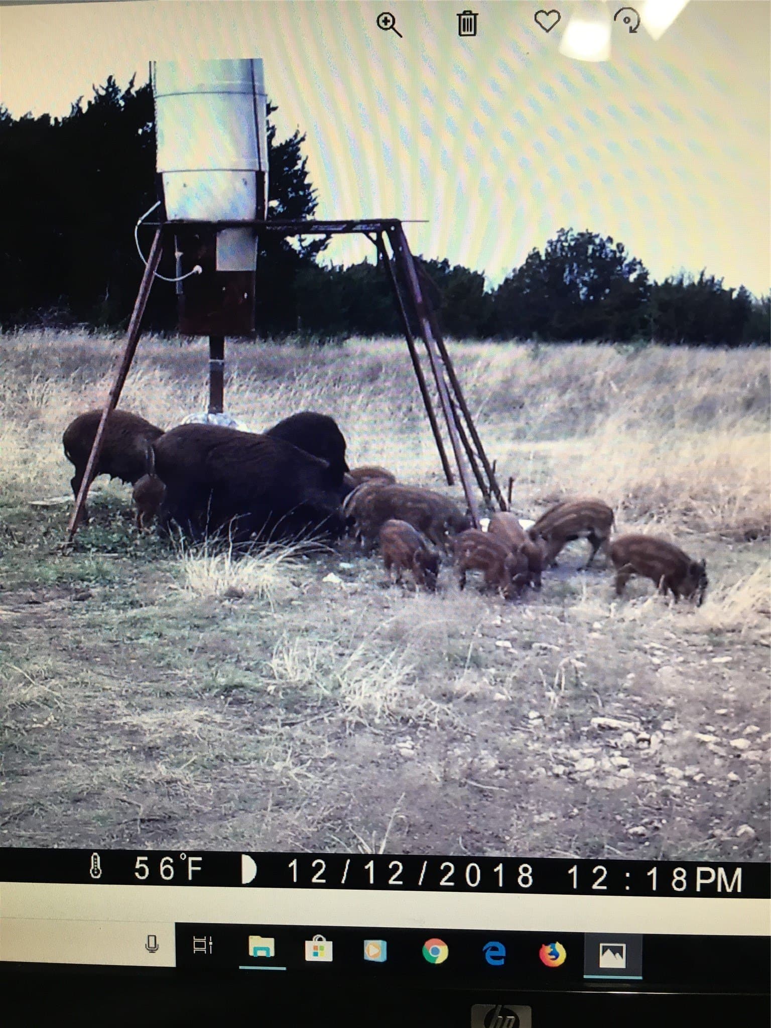120.38 acres in Bosque County - photo 13