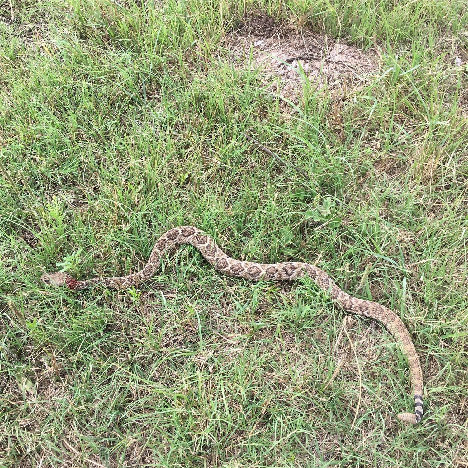 120.38 acres in Bosque County - photo 12