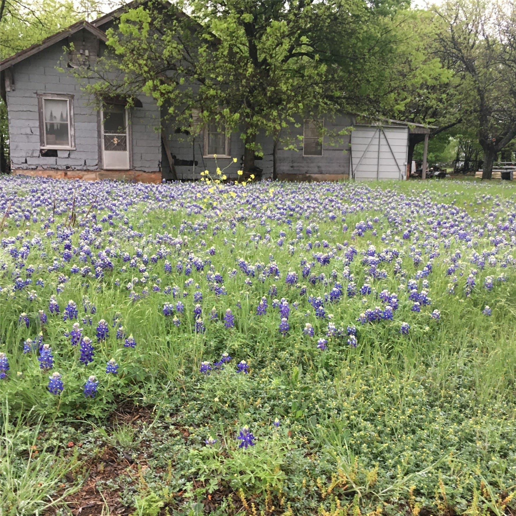 120.38 acres in Bosque County - photo 2