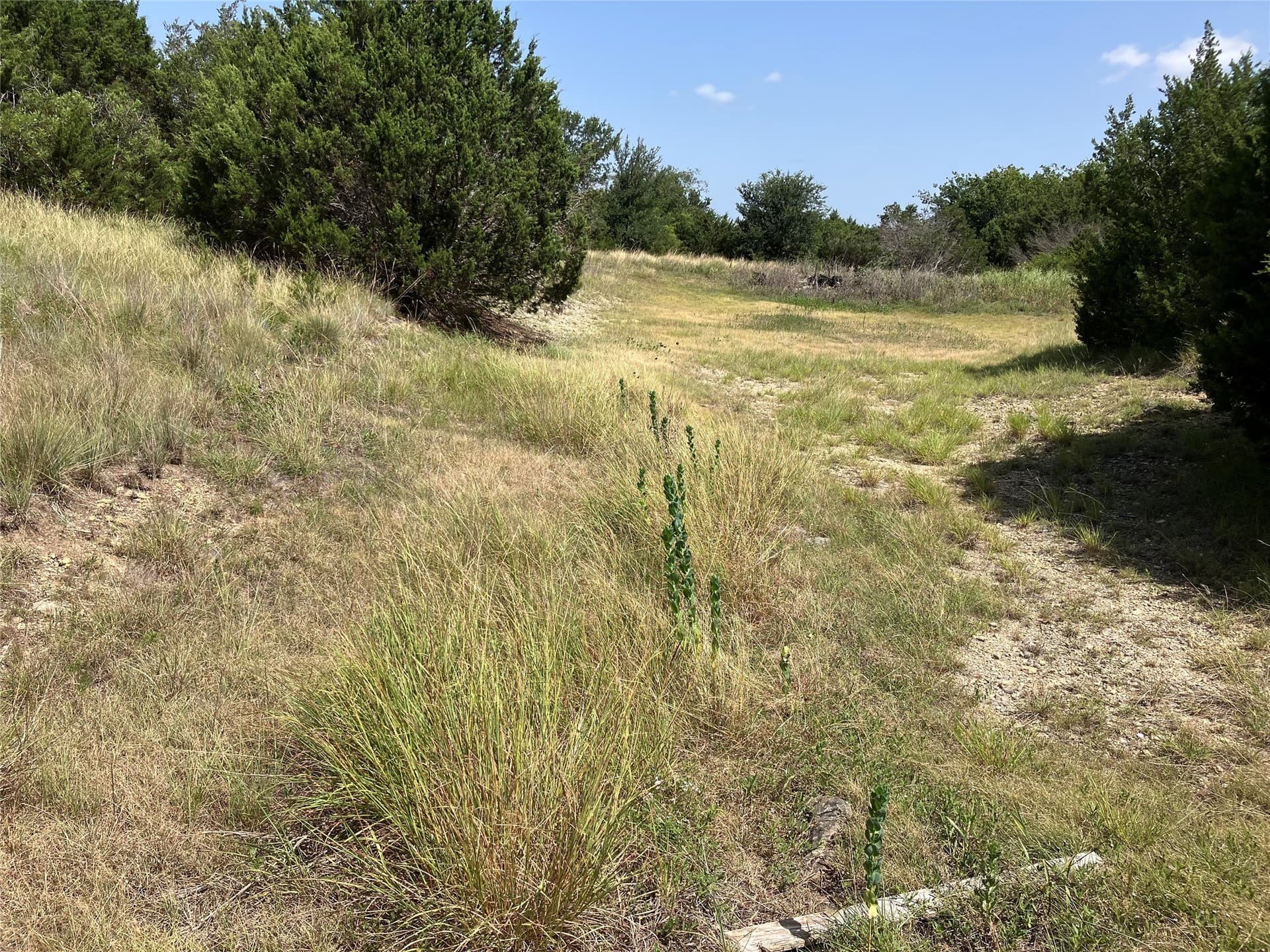 120.38 acres in Bosque County - photo 33