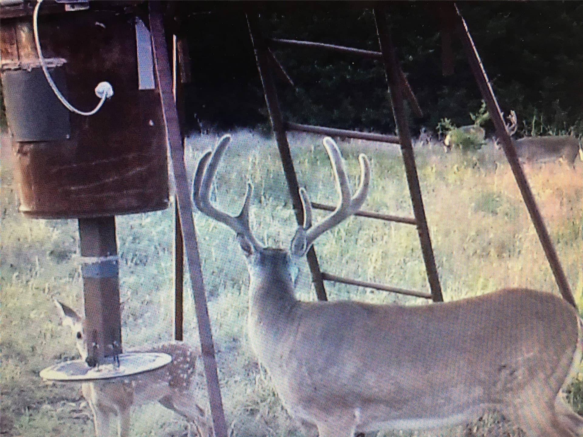 120.38 acres in Bosque County - photo 11