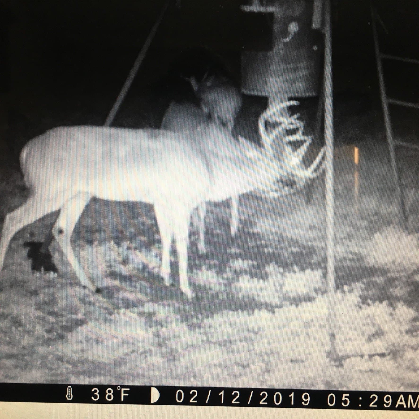 120.38 acres in Bosque County - photo 20