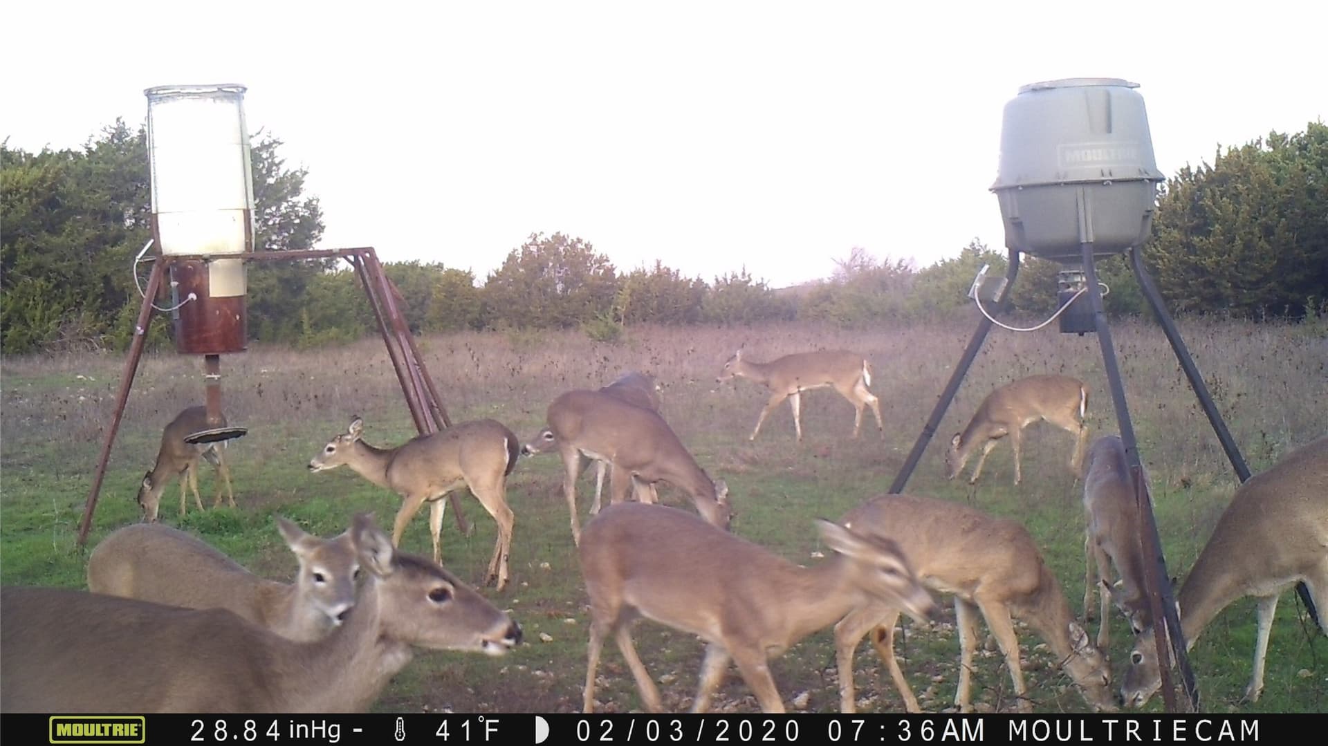 120.38 acres in Bosque County - photo 24
