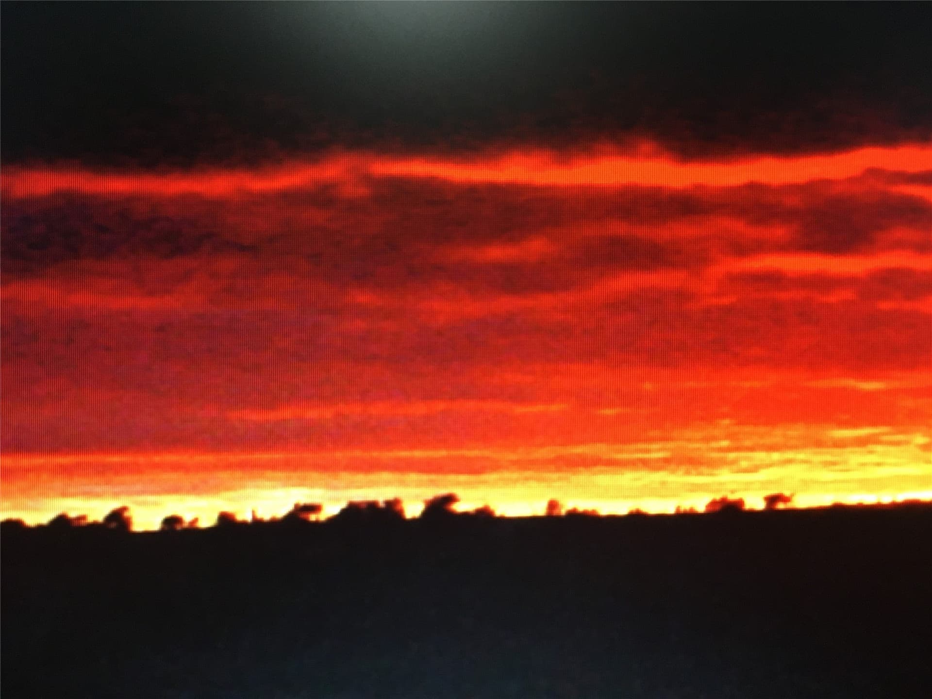 120.38 acres in Bosque County - photo 4