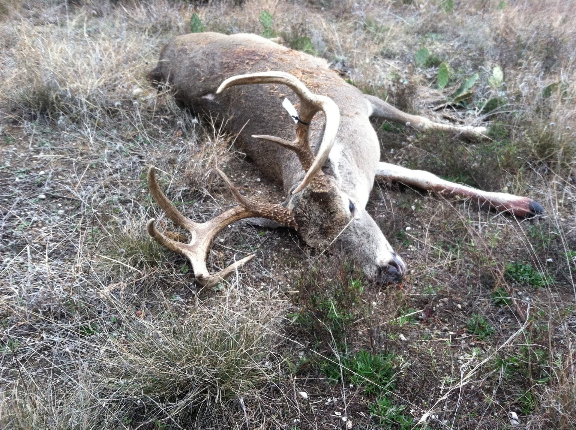 120.38 acres in Bosque County - photo 17