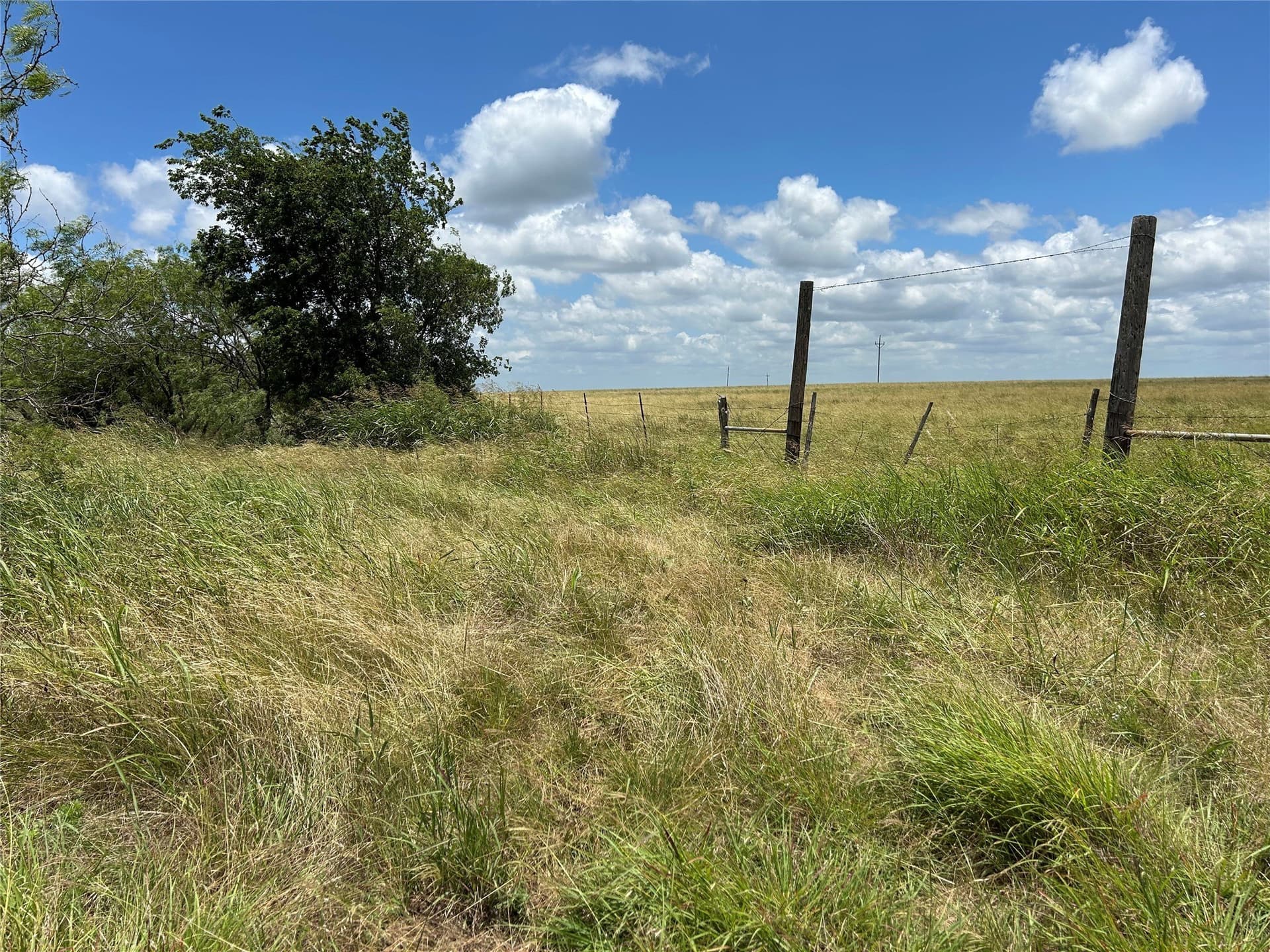 120.38 acres in Bosque County - photo 34