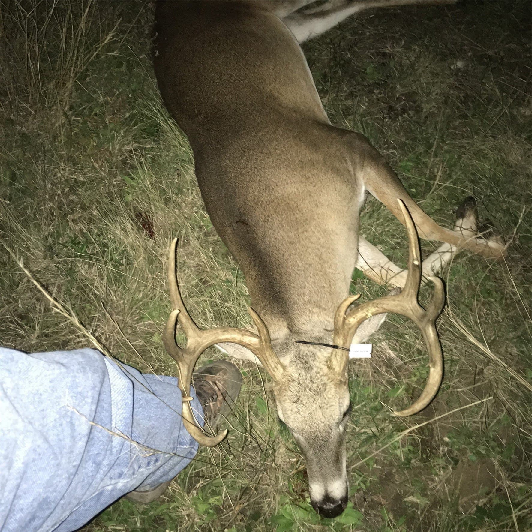 120.38 acres in Bosque County - photo 19