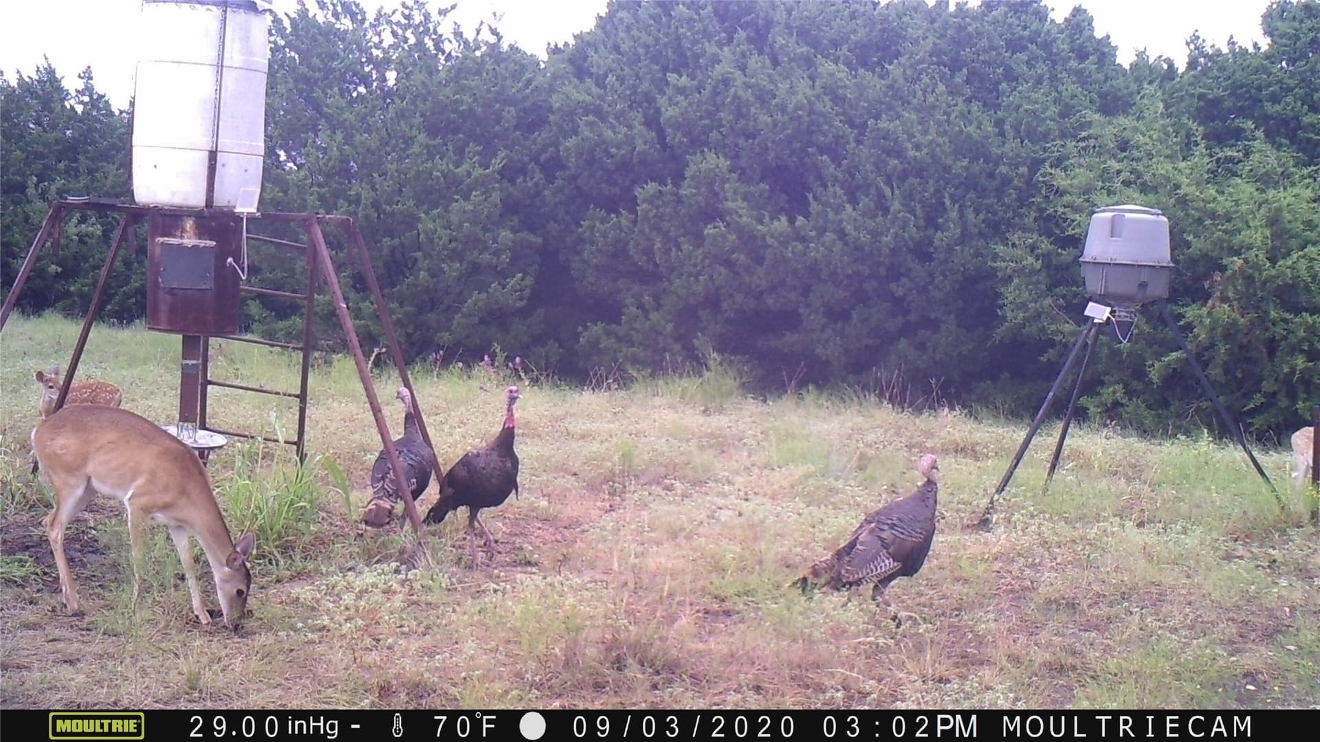 120.38 acres in Bosque County - photo 25