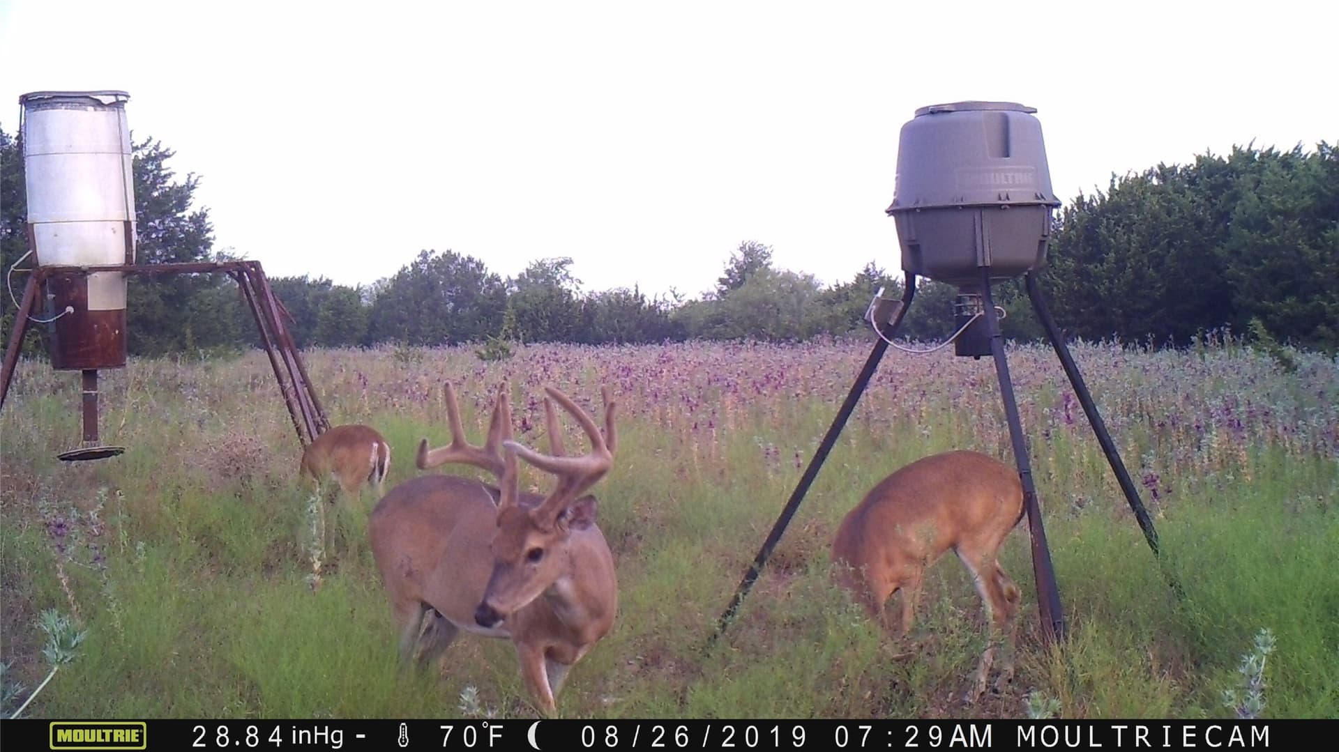 120.38 acres in Bosque County - photo 23