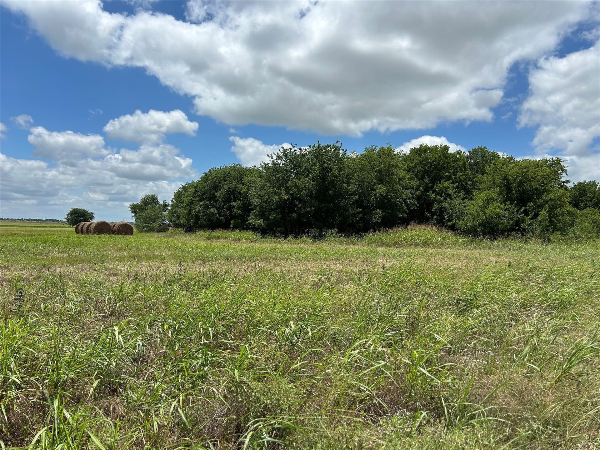 120.38 acres in Bosque County - photo 7
