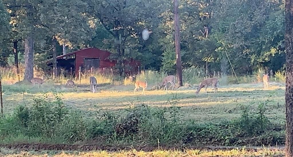 10 acres in Henderson County featured view