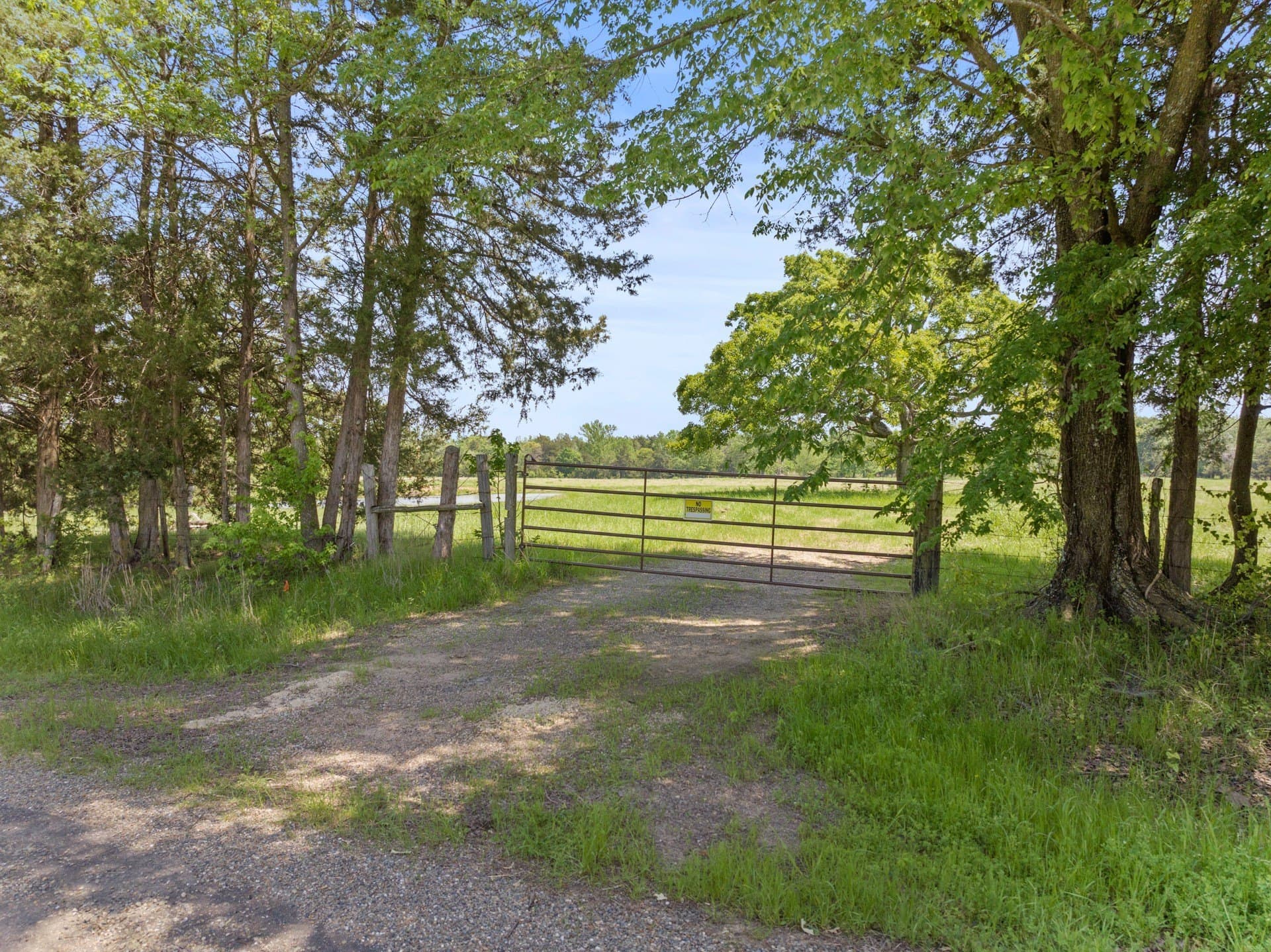 10 acres in Camp County gallery image 3
