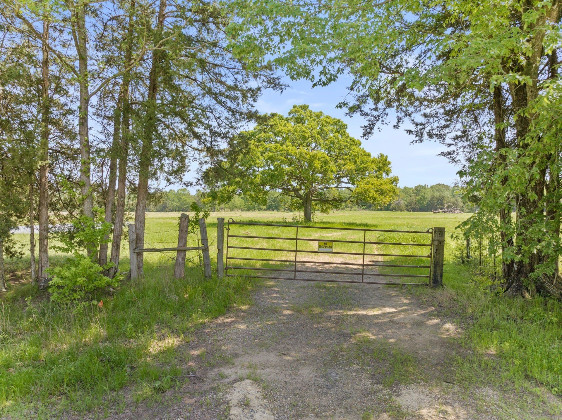10 acres in Camp County gallery image 2