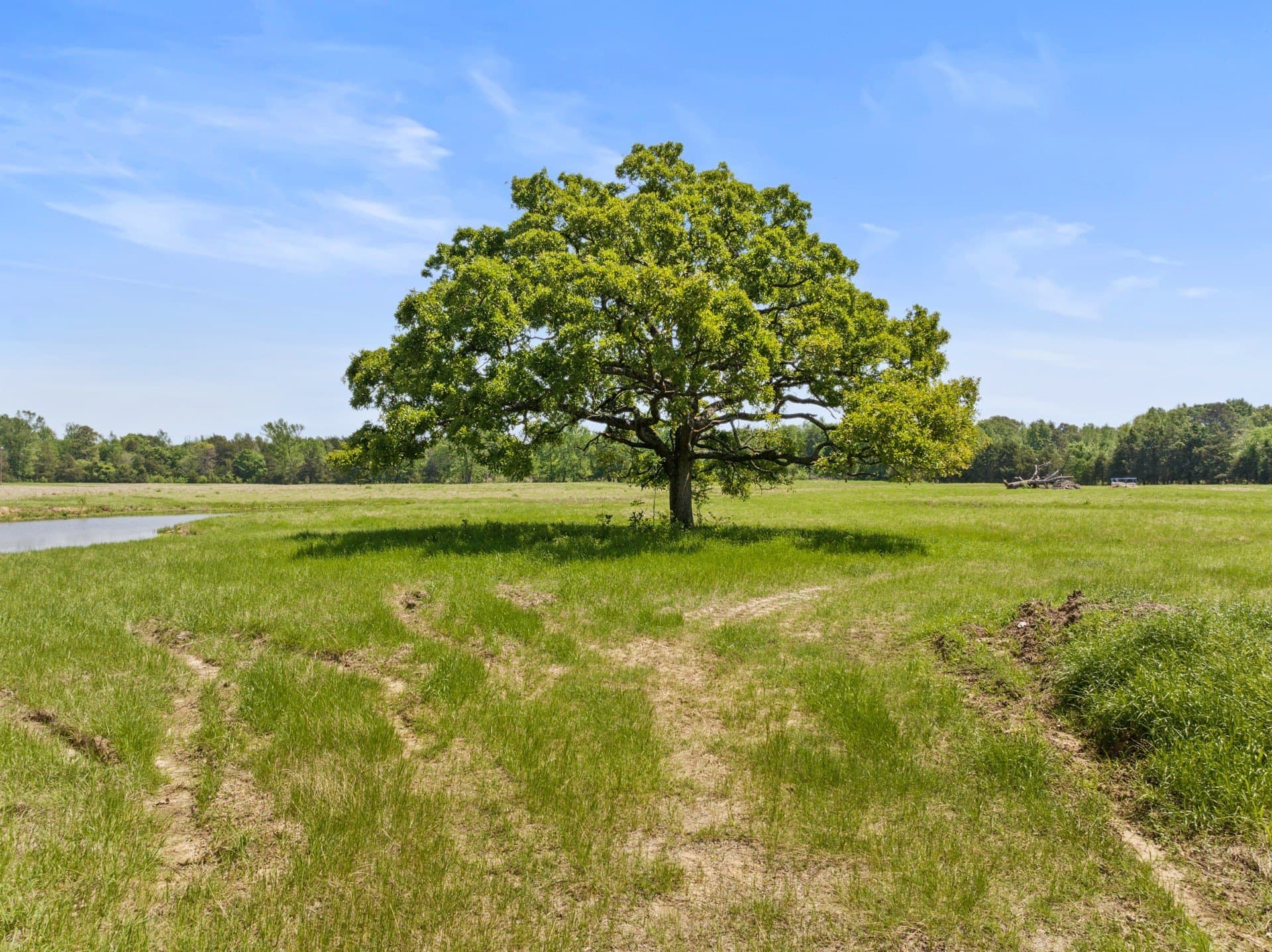 10 acres in Camp County