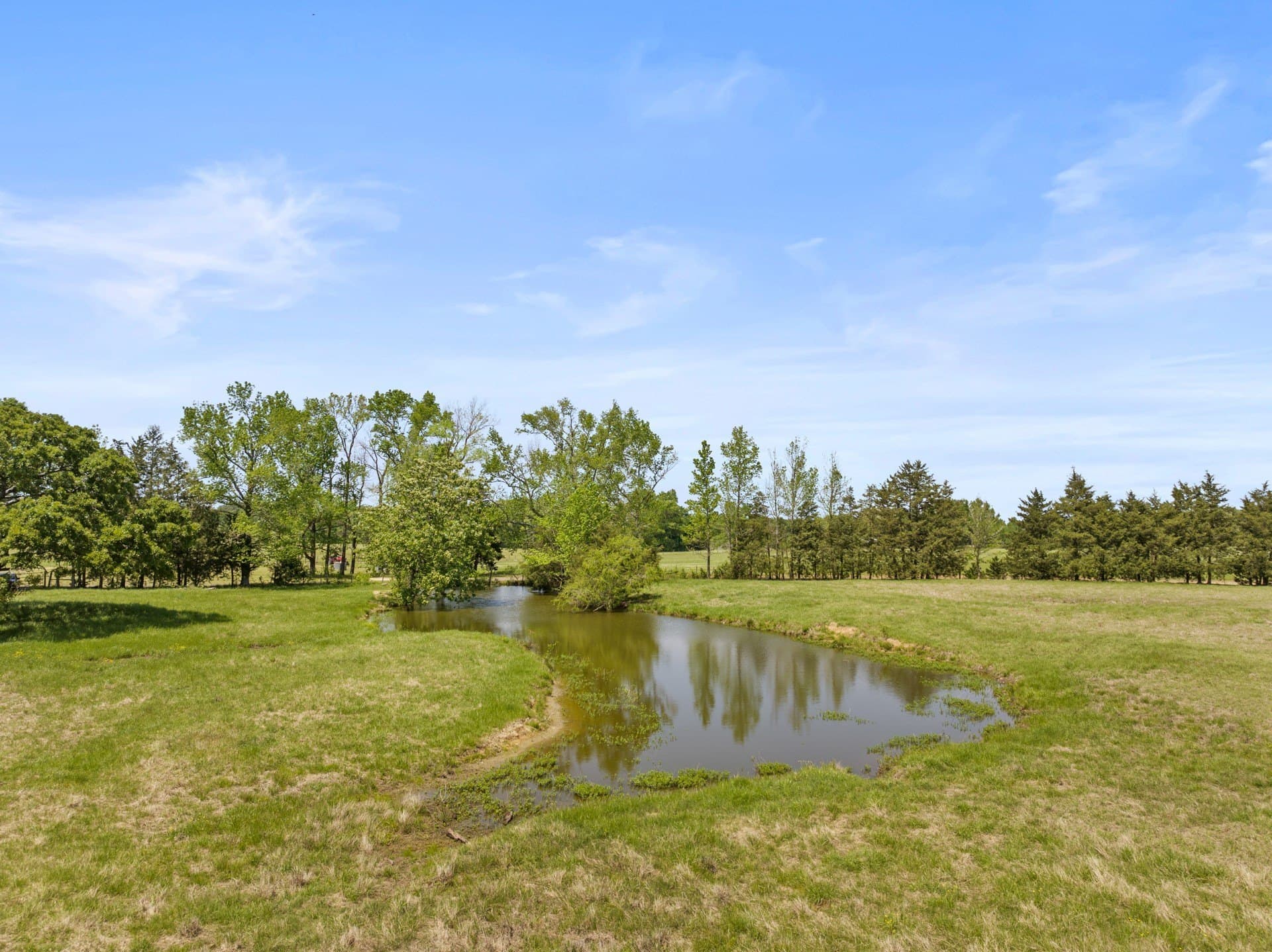 10 acres in Camp County featured view