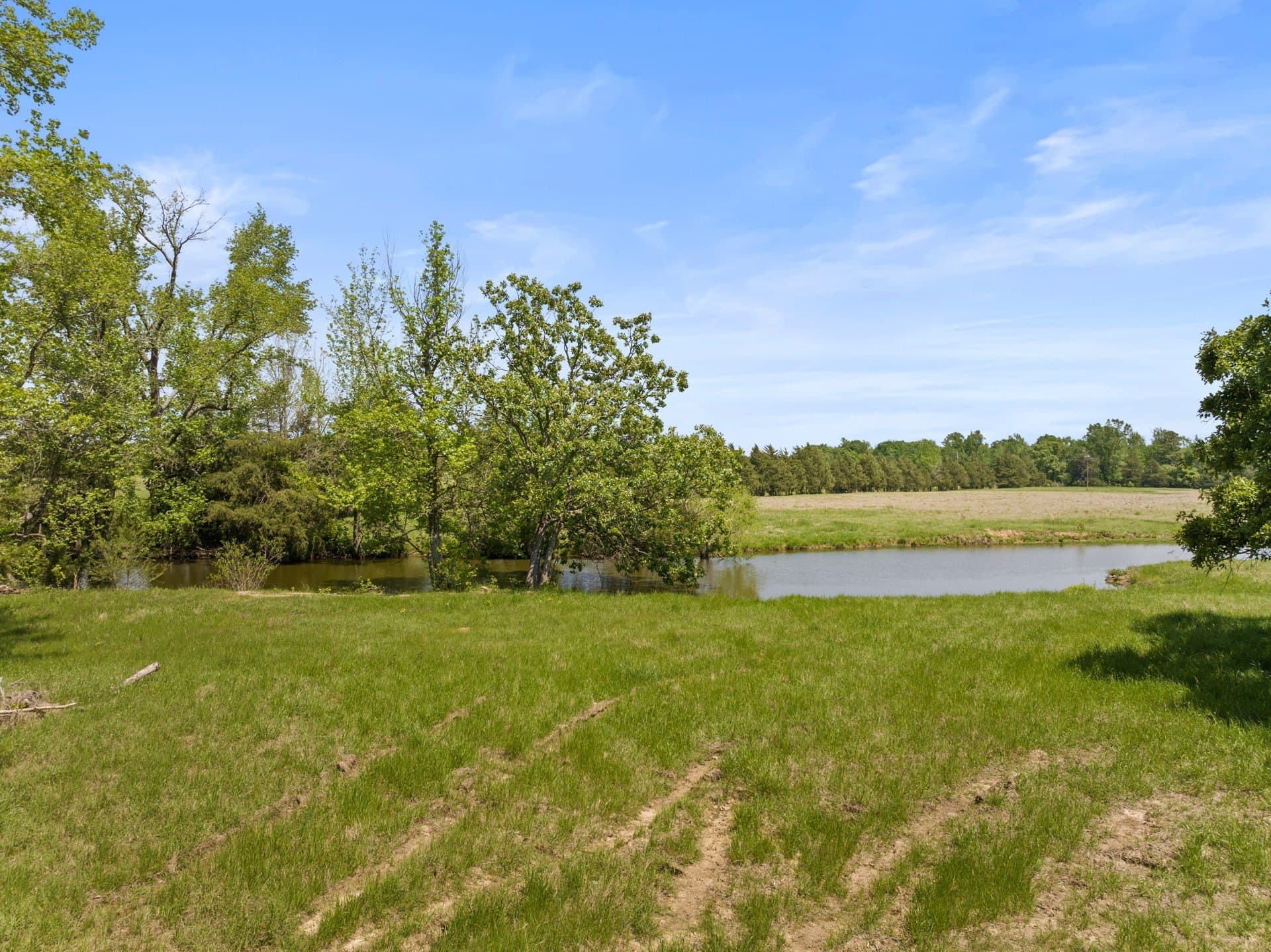 10 acres in Camp County gallery image 4
