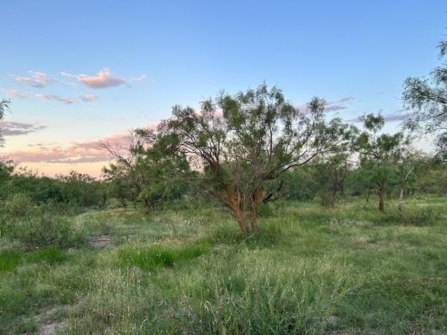 52.03 acres in Schleicher County