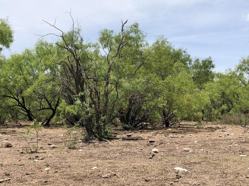52.03 acres in Schleicher County featured view