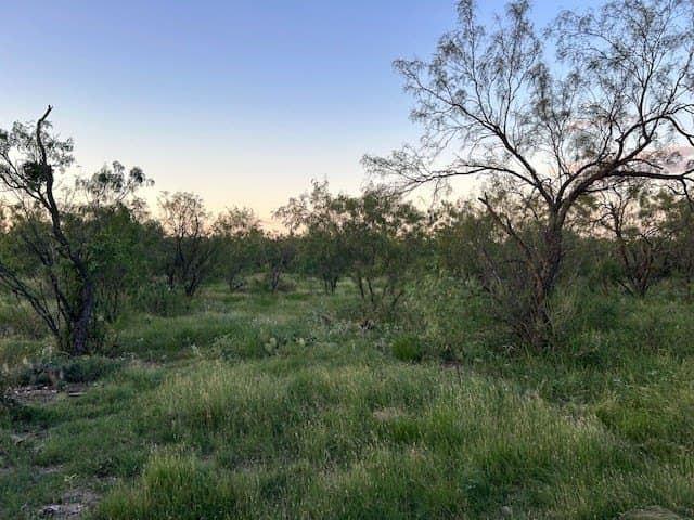 52.03 acres in Schleicher County - photo 9
