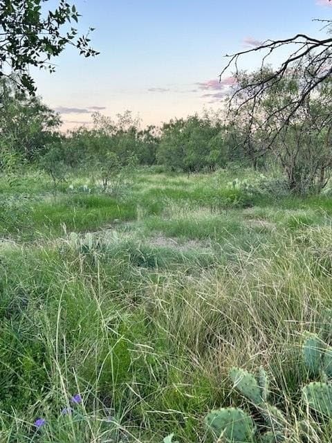 52.03 acres in Schleicher County - photo 39