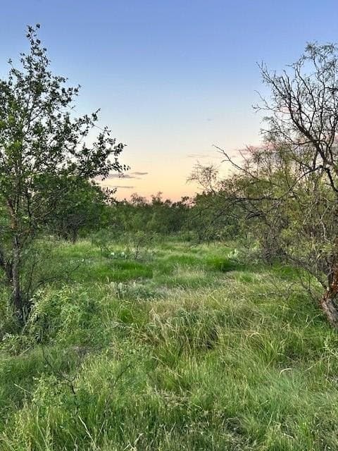 52.03 acres in Schleicher County - photo 17