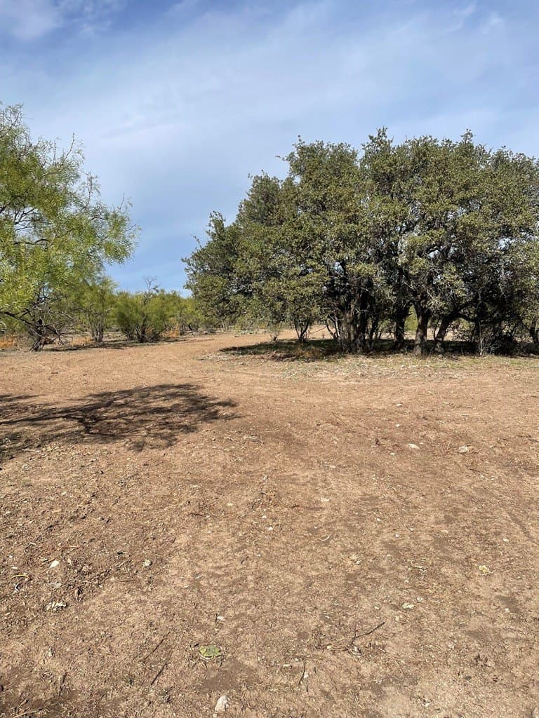 52.03 acres in Schleicher County - photo 27